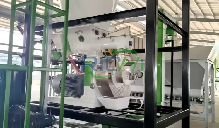 2-3 T/H Coconut Shell Pelletizer Machine for Sale Philippines