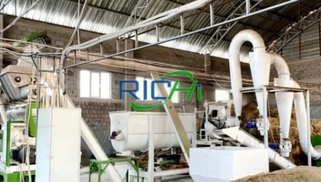 5-6 T/H Cattle Feed Pellet Mill for Sale in Brazil