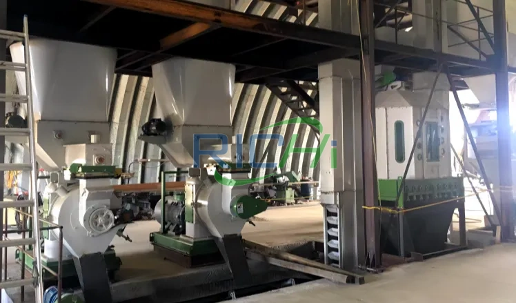 5-6 T/H Biomass Pellet Mill for Sale in the Philippines