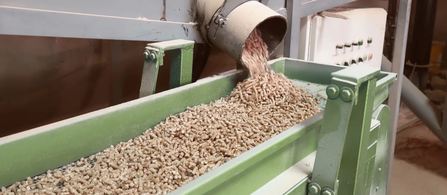 biomass pellets on production line