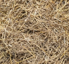 dried straw powder