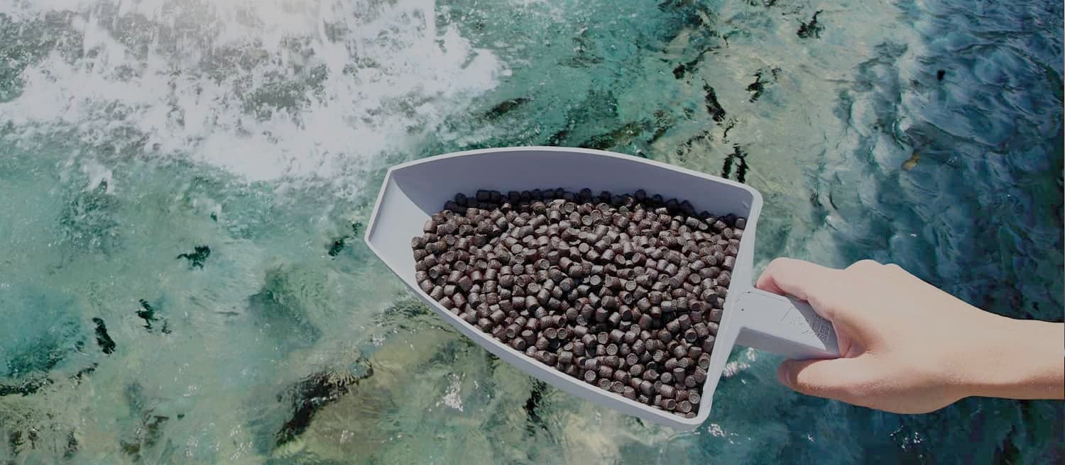 sinking fish feed pellets