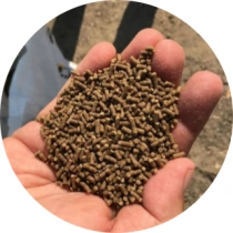 pienso para peces en gránulos en la mano