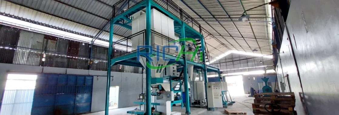 2-3 T/H Twin Screw Extruder for Sale in Thailand