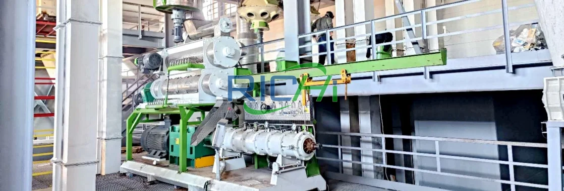 5-6 T/H Twin Screw Extrusion Machine for Sale in Russia