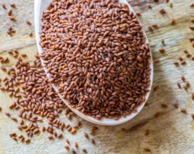 Rapeseed Meal