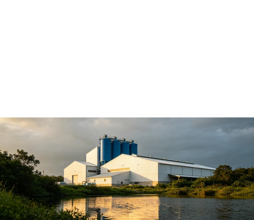 Fish Feed Production line