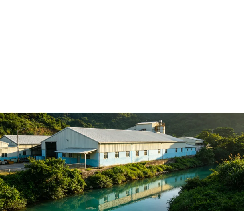 Shrimp Feed plant