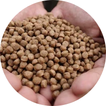 Muestra de alimento para peces en la mano