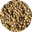 Salmon Feed Pellets
