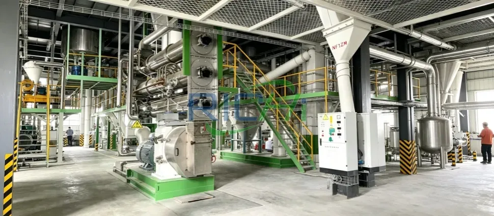 shrimp feed making machine in production line showcase