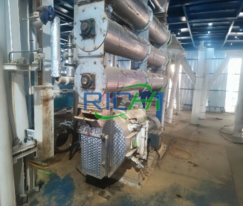 Macchina per la produzione di pellet di pesce da 3-4 tonnellate all'ora in vendita in Russia