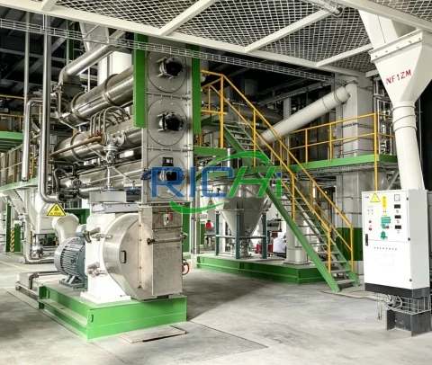 4-5 T/H Shrimp Feed Pelletizer for Sale in Vietnam