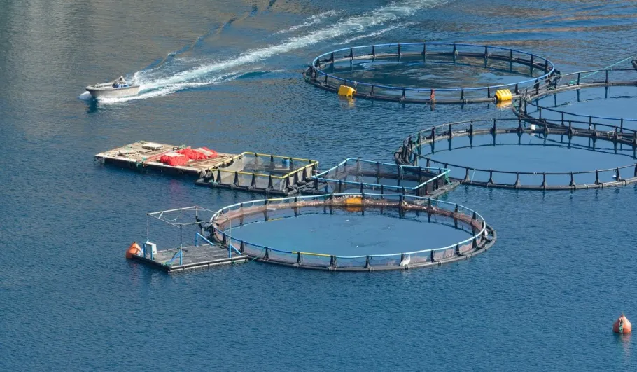Aquaculture Farm
