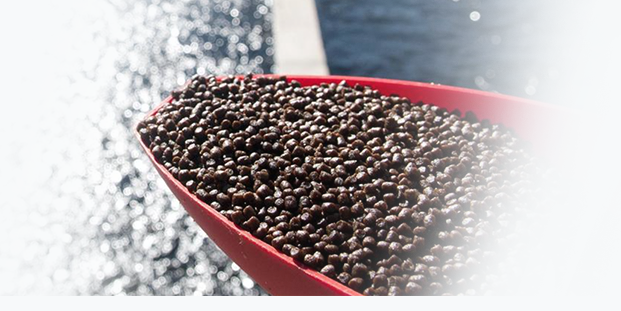aquafeed pellet products