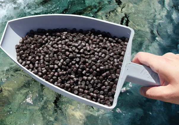 aquafeed pellets for sinking fish