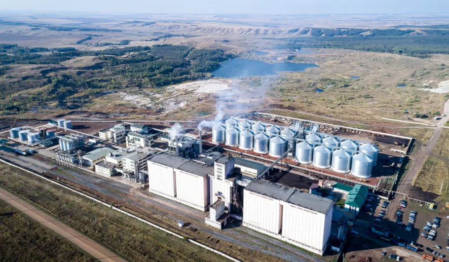 Large-Scale Aquafeed Plant