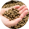 aquafeed pellets after cooling