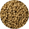 aquafeed pellets after drying