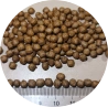 aquafeed after screening