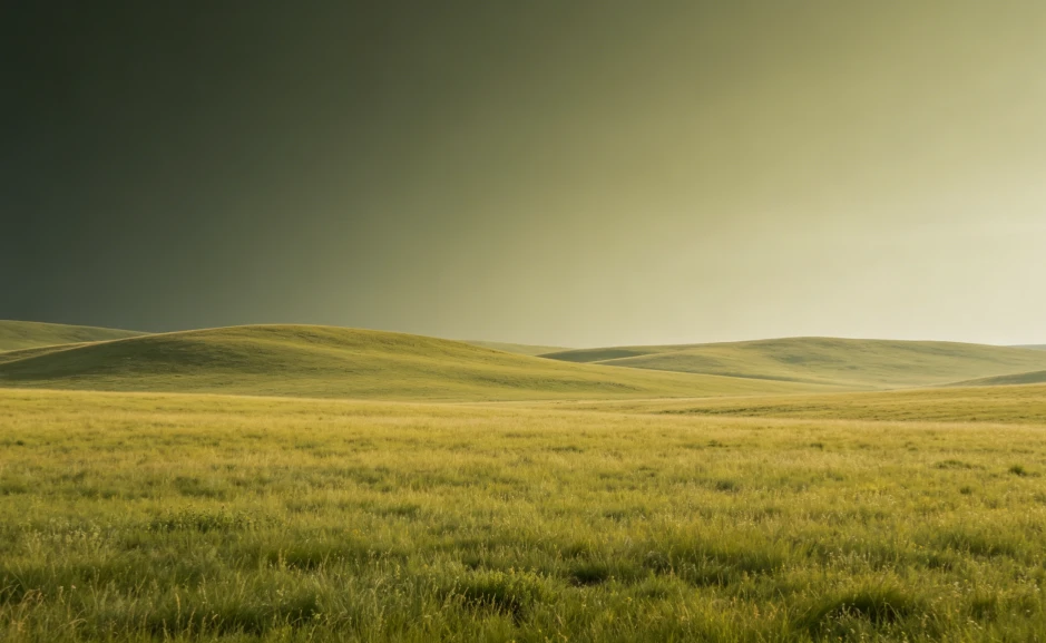 grassland