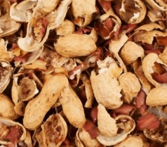 Peanut Shell
