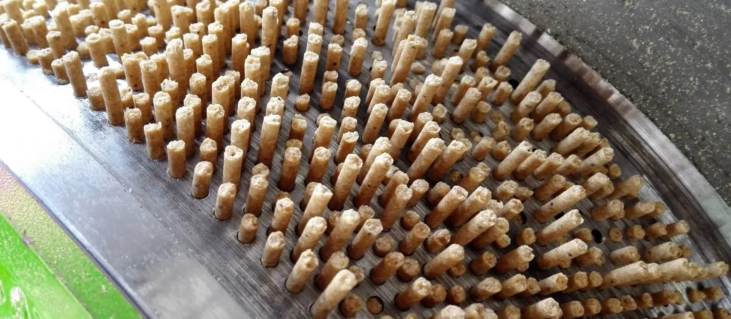 processo di pellettizzazione dei mangimi per pesci