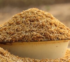 Rice Husk