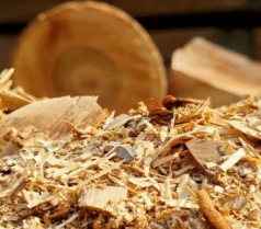 Sawdust