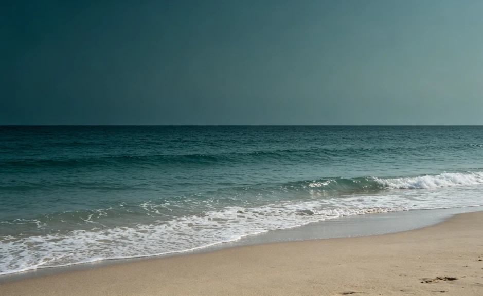 sea back