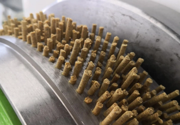 aquafeed pellets for shrimp
