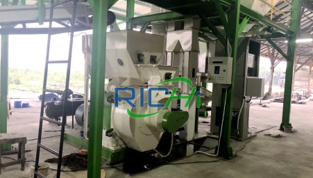 1.8–2 T/H Rice Husk Pellet machine for Sale Indonesia