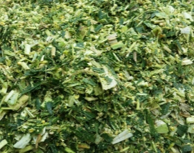 Mixed Forage Silage