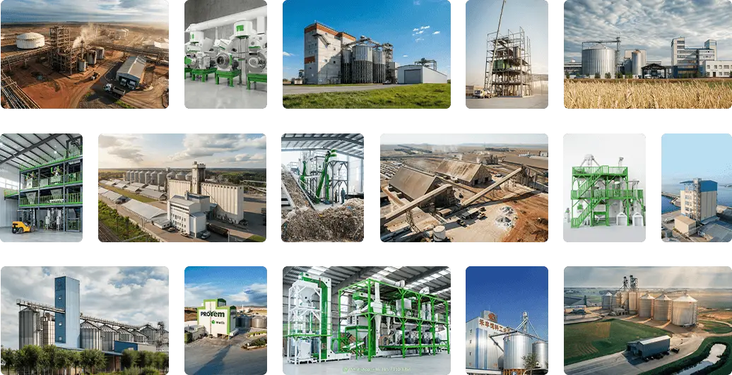 richi project showcase