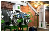 10-11 T/H wood pellet plant in USA