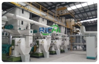 20 T/H biomass pellet plant project