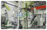 5-6 T/H biomass pellet plant project