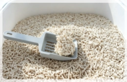 cat litter