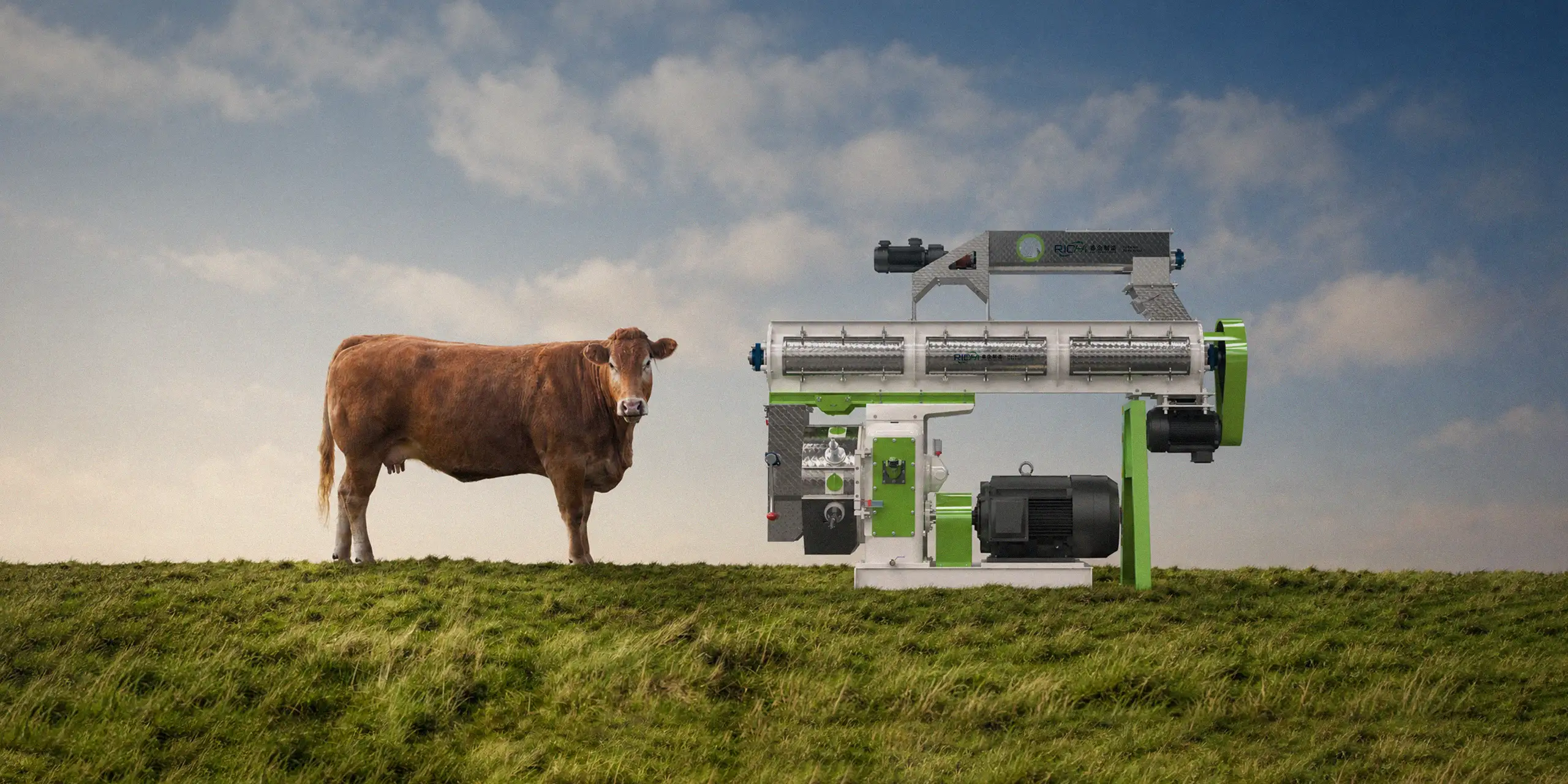 animal feed pellet machine
