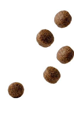 fish feed pellets