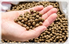 fish feed pellets