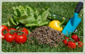 organic fertilizer pellets and fruits