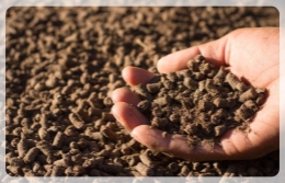 oeganic fertilizer pellets