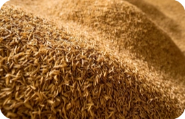 rice husks