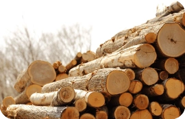 wood log