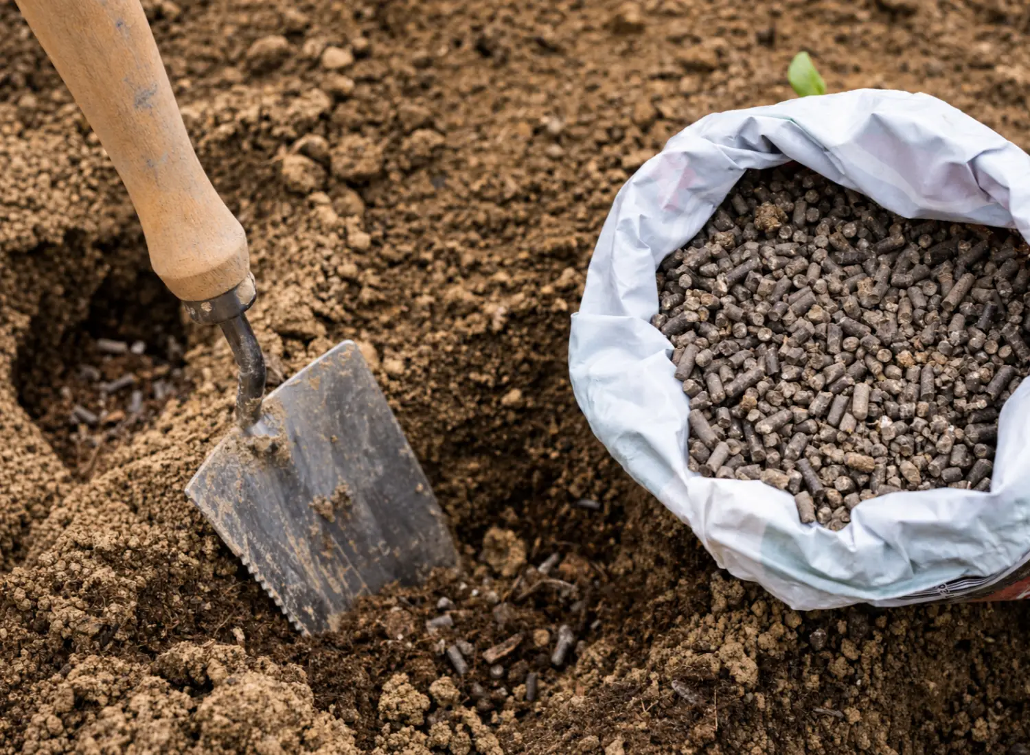 chicken manure fertilizer pellets
