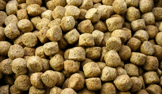 floating fish feed pellets