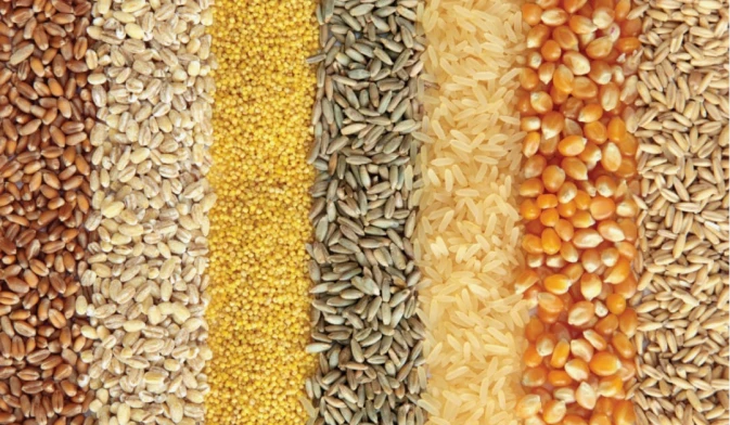 grains