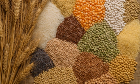 grain powder