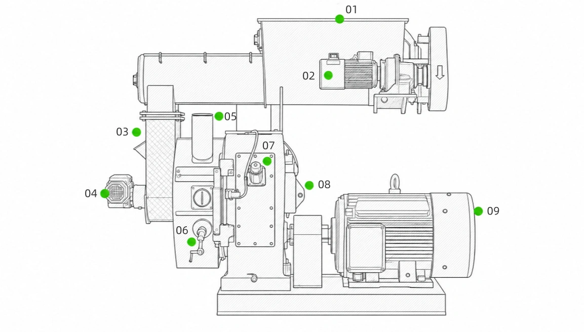 Chicken manure pellet machine structure display